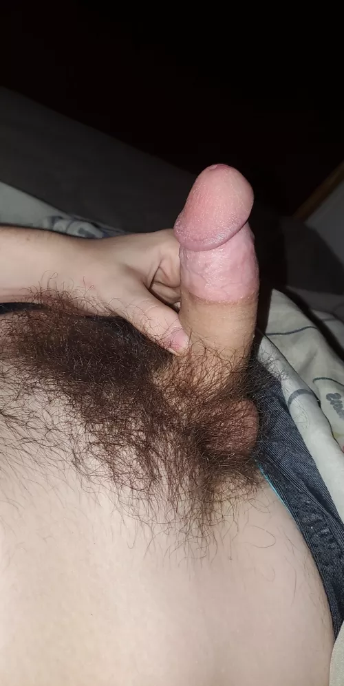 (19) Love how hairy my cock is. Sub to my OF to see what I can do with it🤪