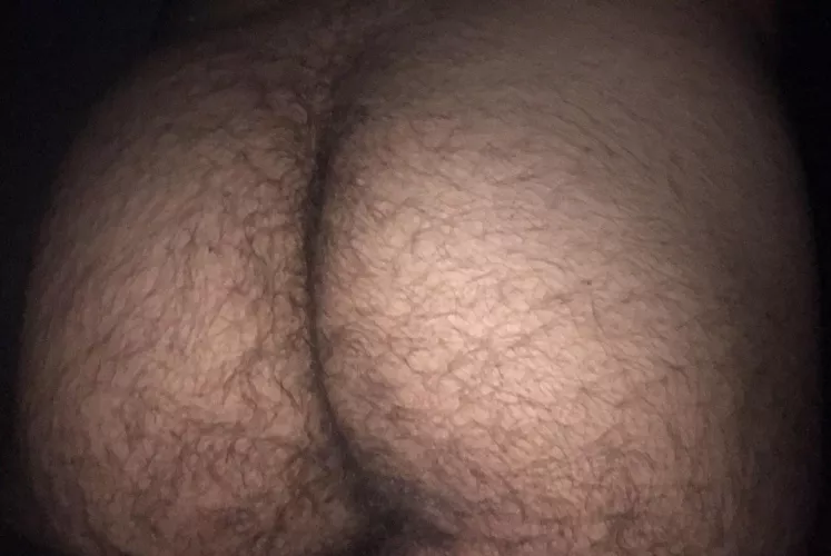 20 vers arabe snap : ryanvers.20