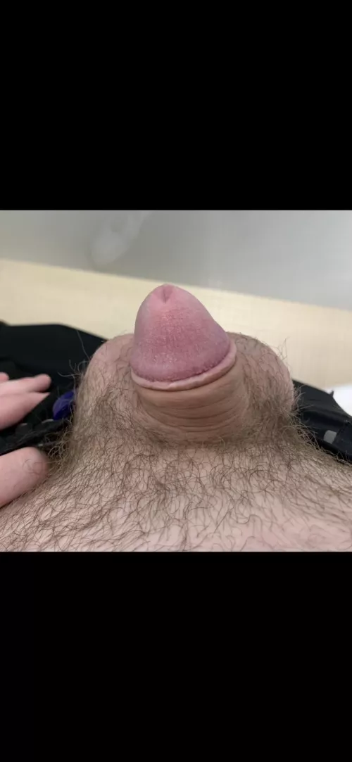 (22) 6’3 with Size 15 feet but my cock didnt get the memo. DM’s Open (: