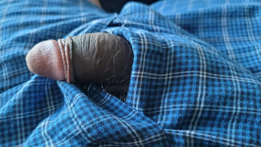 [24] happy Saturday!