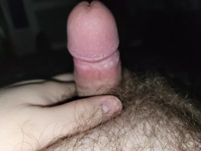 (27) little 3 inch guy looking to dom or play. Don't be shy he doesn't bit 😉