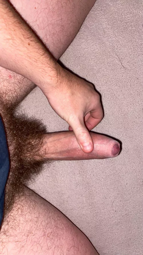 28 m/ looking for hairy dick wank buddy with ONLY !! untrimmed natural bush the hairier you are the better and with FACE snap: marc.boy23 😁livecum