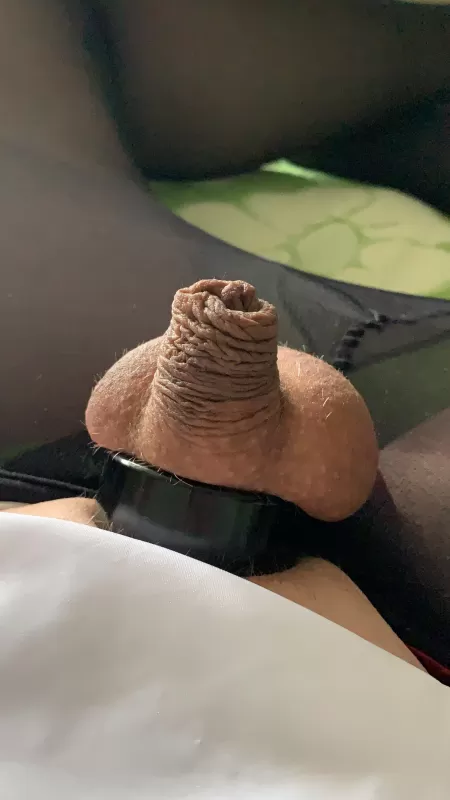 [31] have a nice day all