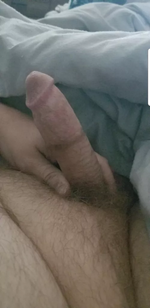 (35) anyone want to jerk together?