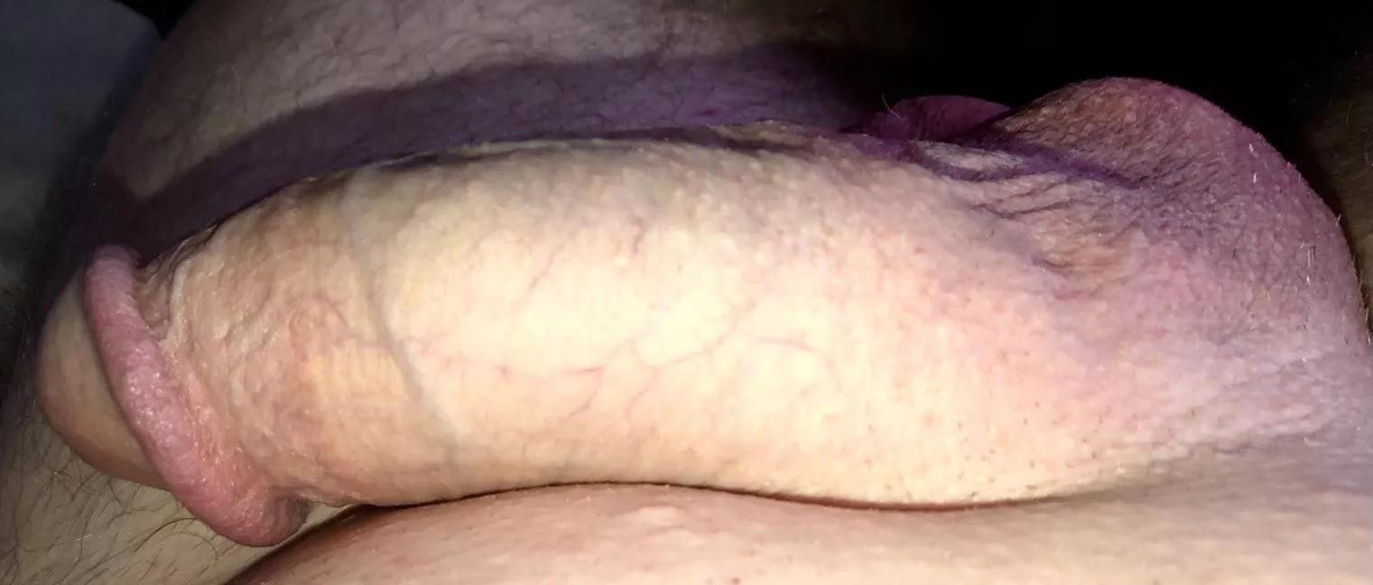 [41] 🐍