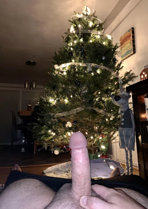 (42) Christmas tree is up, and there’s already one present under the tree. Do you want it wrapped or nah?!?