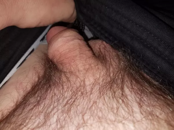 [43] do u guys like the bush or does this tiny dick need to be shaved clean??