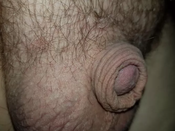 [43] Soooo tiny... but have to love tiny cocks as well