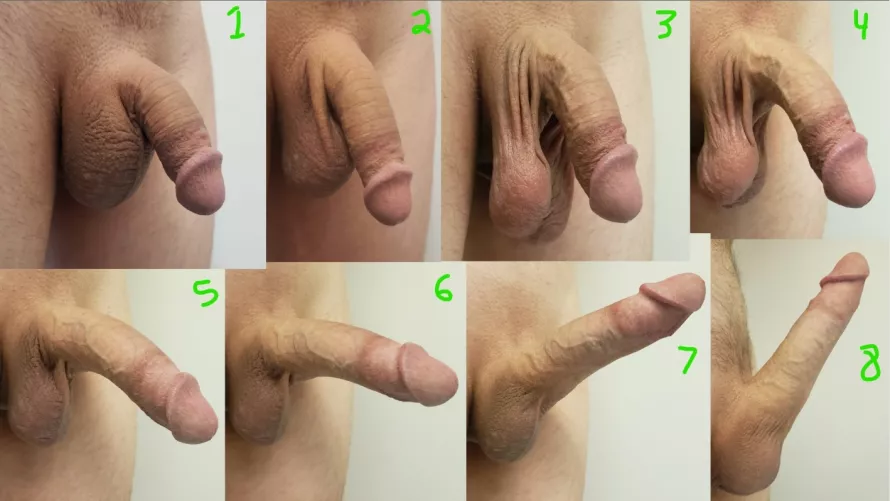8 different stages of my cock