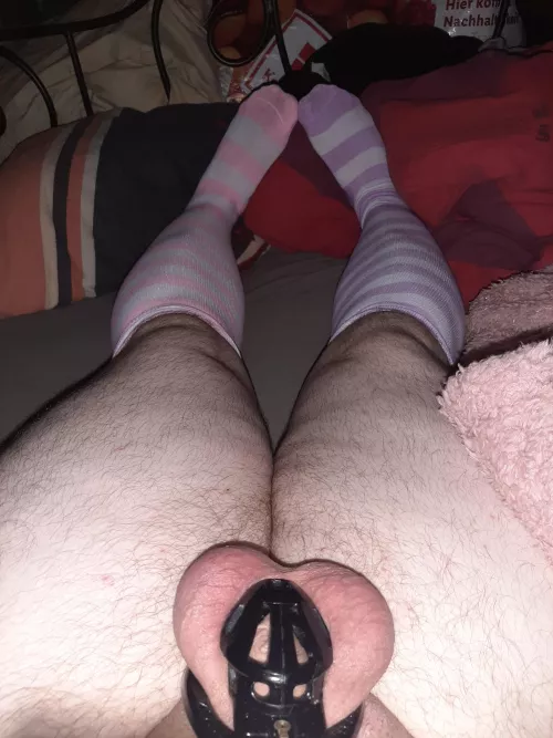 After 12 full days of NNN I'm still strong. But now look at my new socks:3