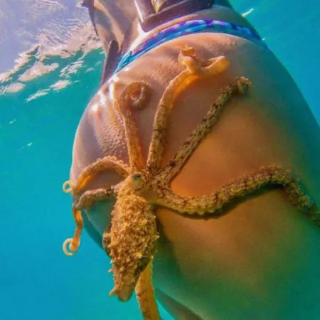 An very special KRAKE-Ass!