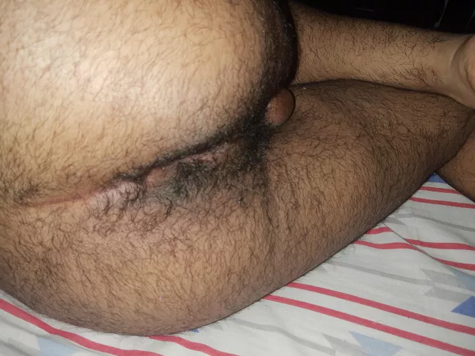 Any love for a hairy ass? (18)