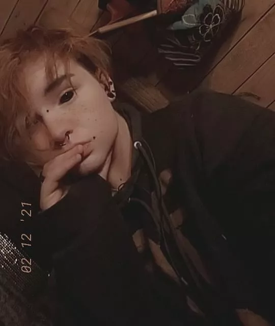 any love for redheads?ฅ^•ﻌ•^ฅ any love for redheads?ฅ^•ﻌ•^ฅ