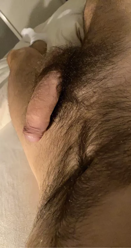 Anyone likes a hairy semi?