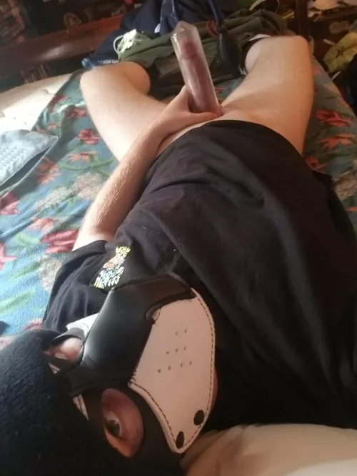 Anyone want to help puppy pump his cock?