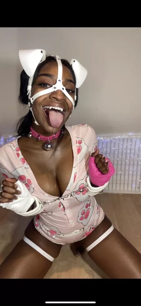 Arf arf puppy girl here