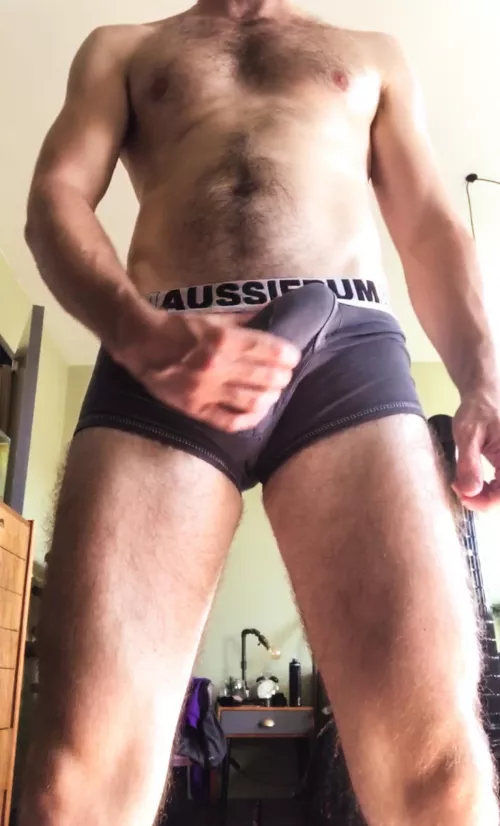 Aussiebums love my bulge…