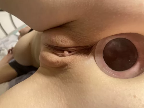 beautiful angle of my stretched asshole [F]