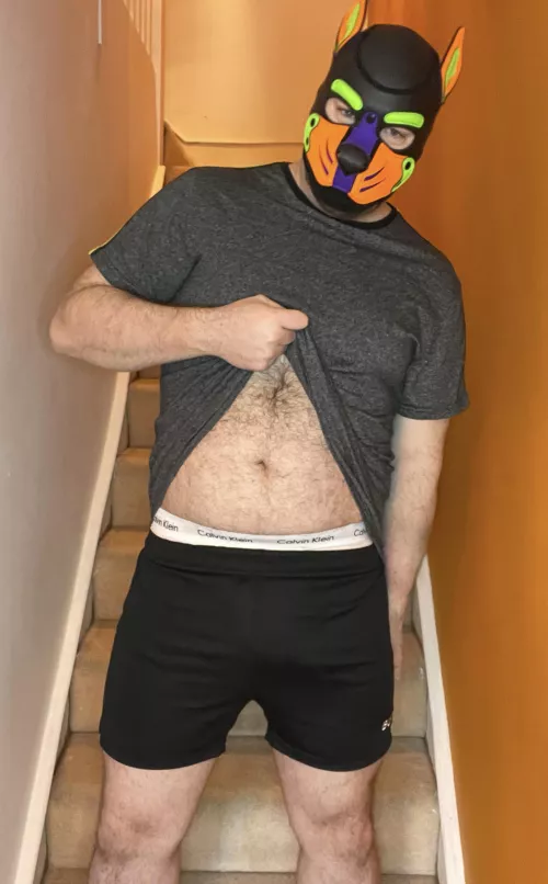 Belly Rubs? Find me on instagram: Pup.Spencer 💜💚🧡