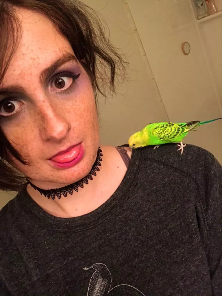 borb 🦆