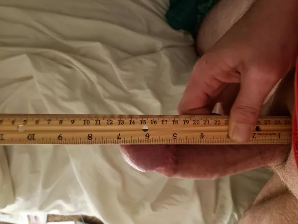 Bp~ the curve is nice but it makes it a tad shorter ;-;