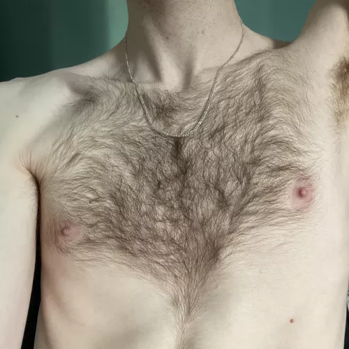 Bringing that 70s pornstar look back