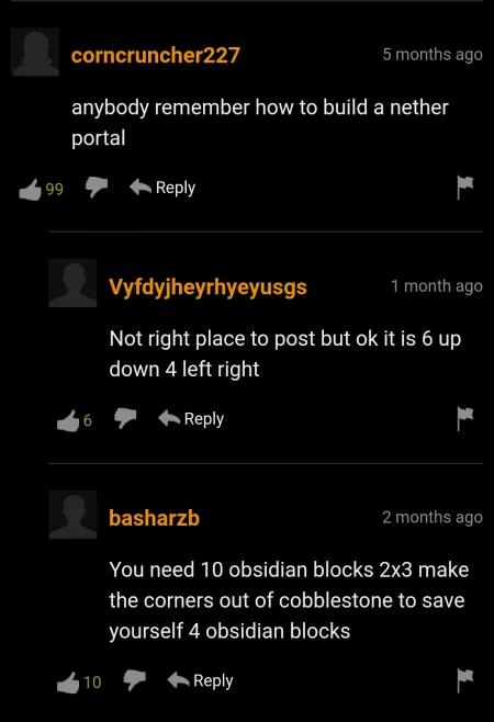 Bros helping someone make a nether portal