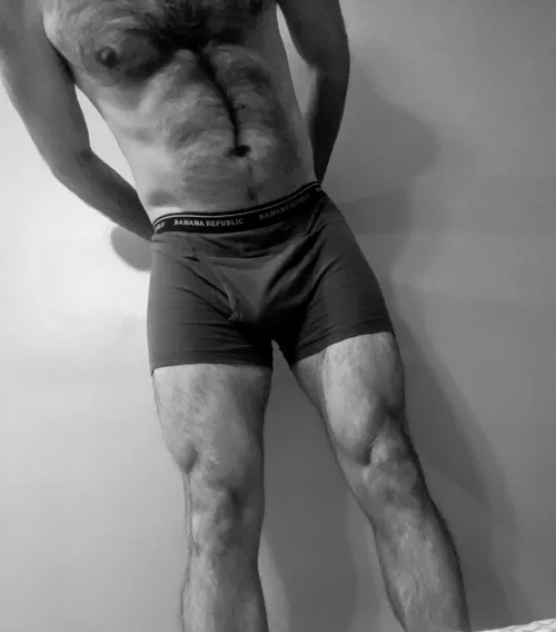 Bull looking for your wife