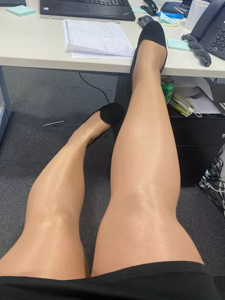 Busy day in the office! 😈