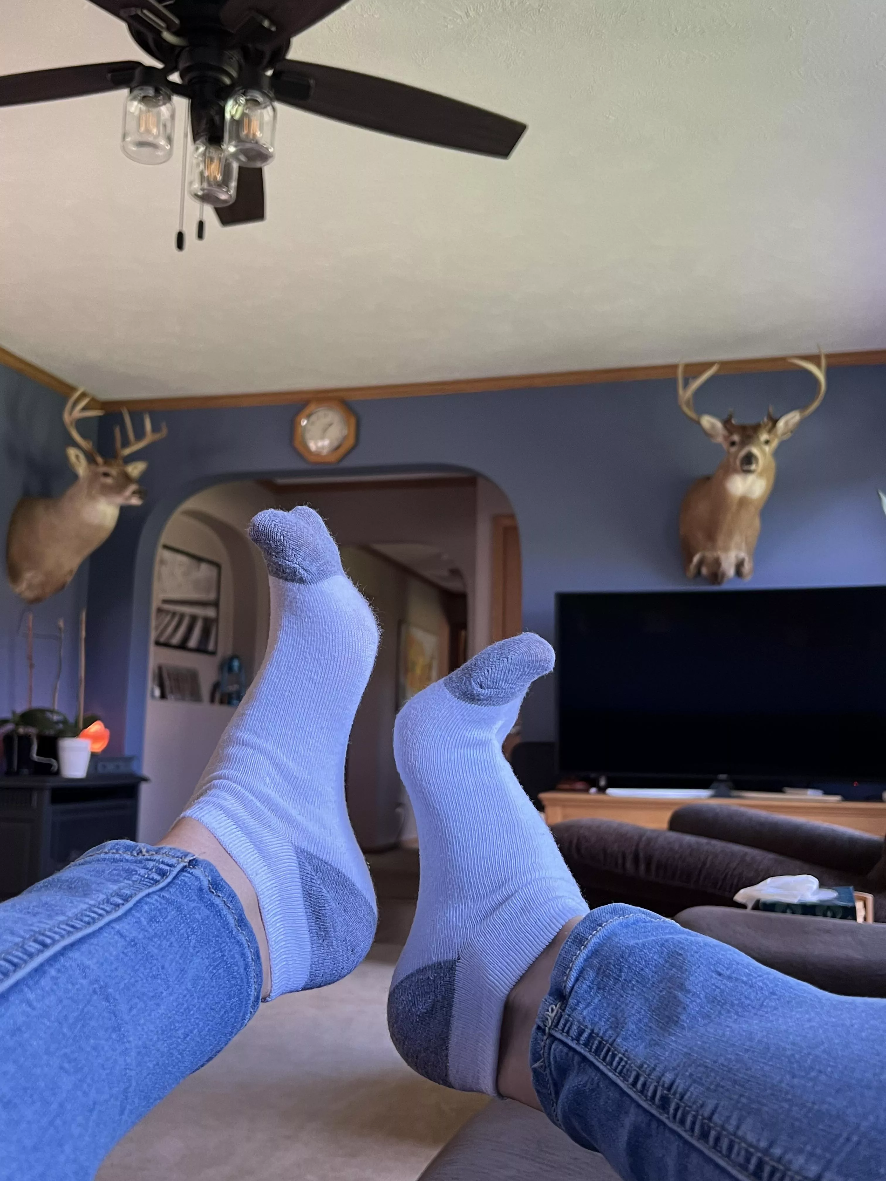 can i tell you a secret? i stuck these ankle socks down my pants, then i came by riding a pillow 🤫 they smell so good right now. can i tell you a secret? i stuck these ankle socks down my pants, then i came by riding a pillow 🤫 they smell so good right now.