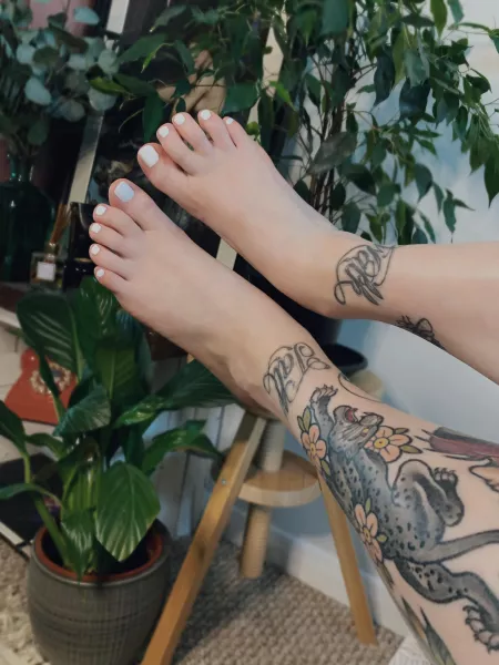 Can someone massage my pretty, white toes please 🥺🤍