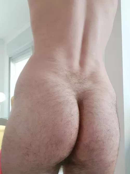 Can you resist my big hairy butt?