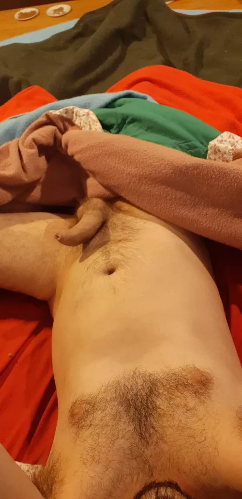 Canadian Morning Wood