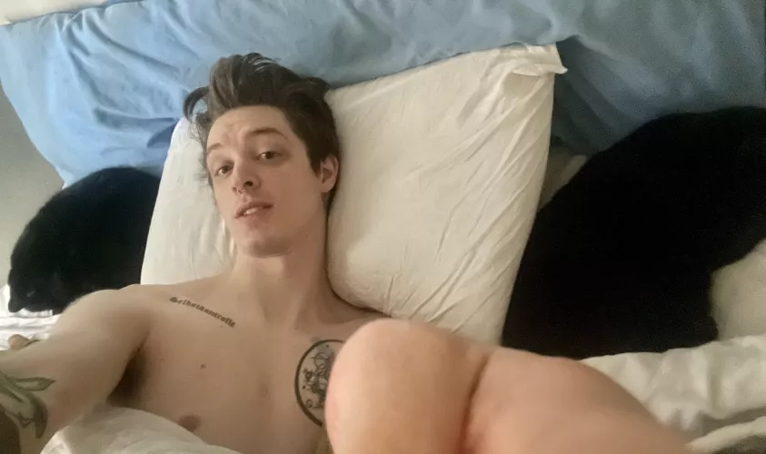 Can’t log in to Endwalker, still, so gonna stay in bed with the cats.