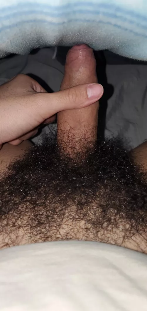 Care for some sausage this morning