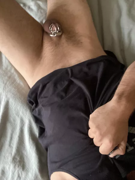 Chastity is way more fun