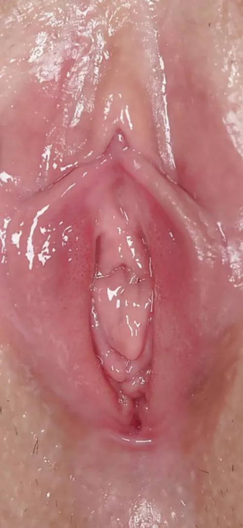 Close up of my girl’s wet pussy before some morning sex Close up of my girl’s wet pussy before some morning sex