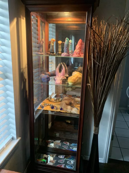 Collection On Display 😍