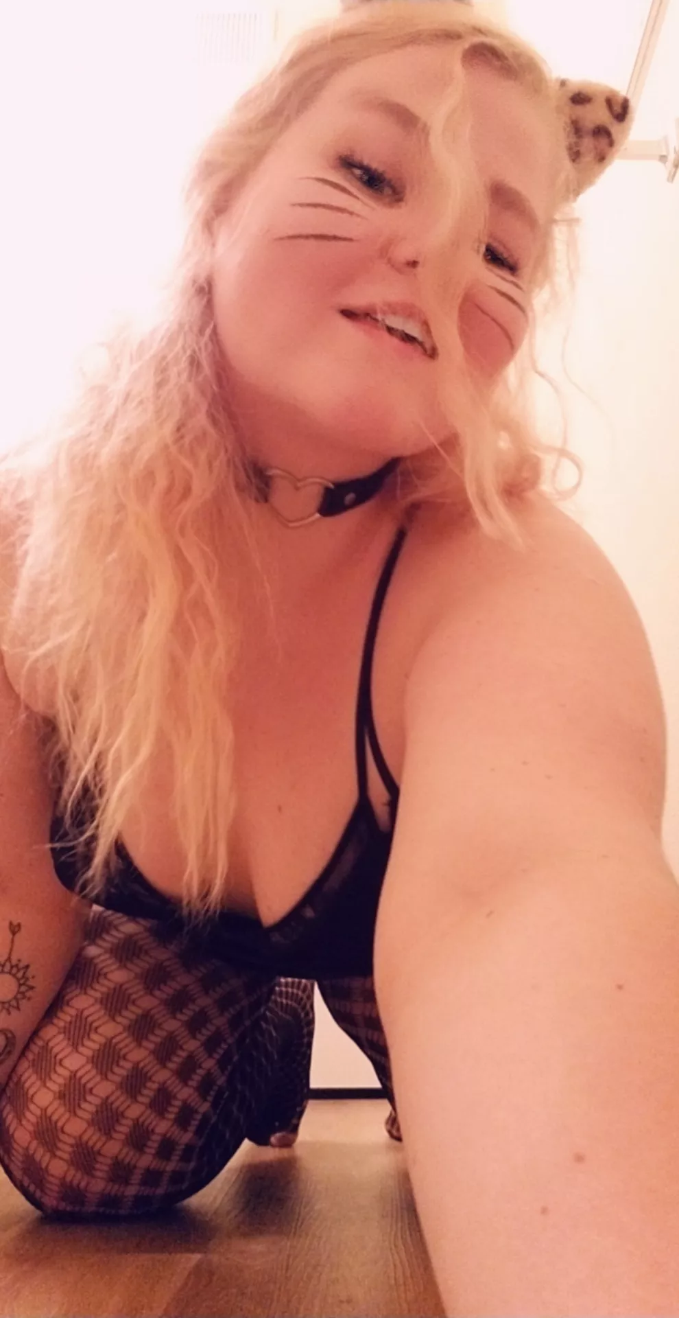 Curvy BBW: Lots of services offered😈🍆 Toy play, Outfits, Anal, Squirting, feet & kink content, soft bondage & SOO much more! 🤭 NO PPV FOR RENEW MEMBERS! 😌 2.3k+ Pics/600+Vids/PLUS daily posts! Curvy BBW: Lots of services offered😈🍆 Toy play, Outfits, Anal, Squirting, feet & kink content, soft bondage & SOO much more! 🤭 NO PPV FOR RENEW MEMBERS! 😌 2.3k+ Pics/600+Vids/PLUS daily posts!