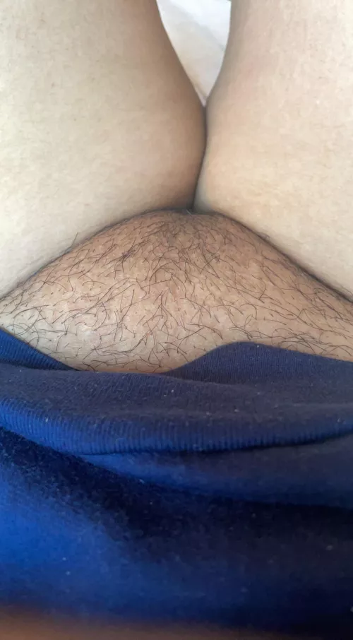 cute fuzzy asian kitty