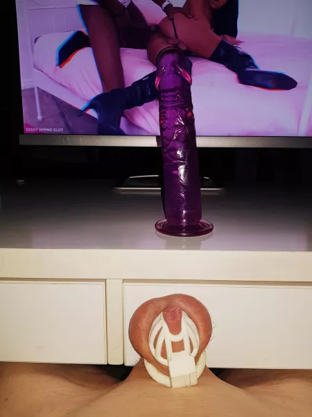 Day 2 and I was ordered to watch porn and suck my dildo 😩😬