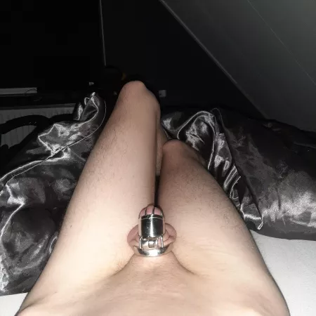 Day 3 with the new cage it's a bit too big so have to get a smaller one very soon