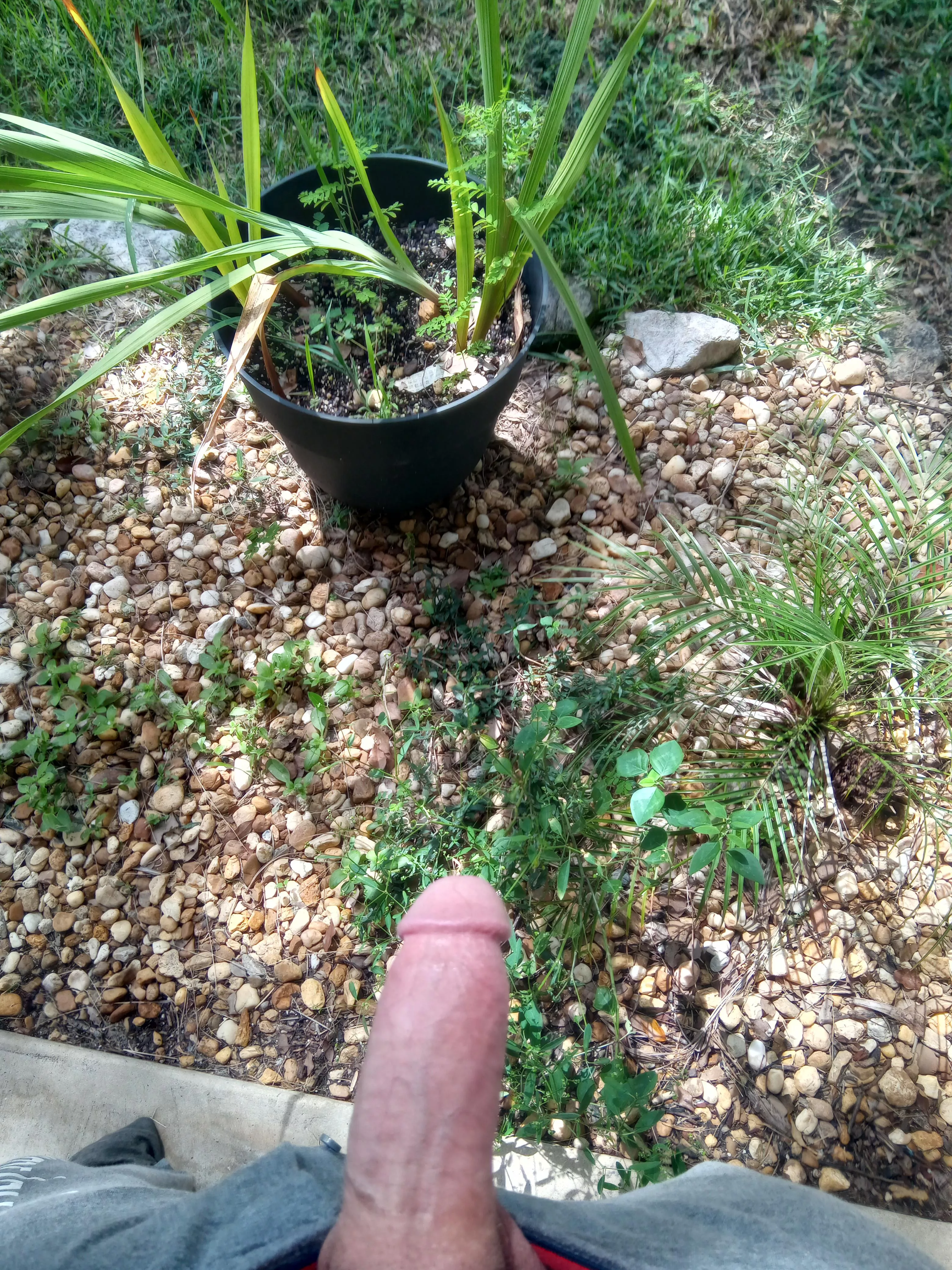 Decided to take a break from the internet and check on my plants. How do you think they are cumming along? Decided to take a break from the internet and check on my plants. How do you think they are cumming along?