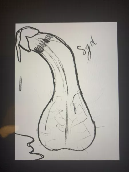 Dm me for a drawing of your uncut cock