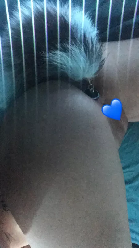 Do you like how it stretches me? 🐶