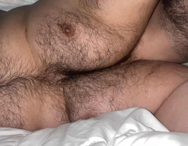 Do you my hairy chest?