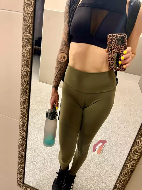 Don’t be a[F]raid to talk to me & my camel at the gym