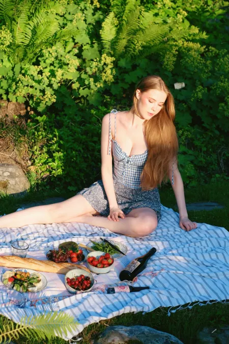 Dreamy picnic