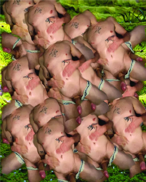 drmt i wnt dwn on 20 of me bcm a bug (she/ they)