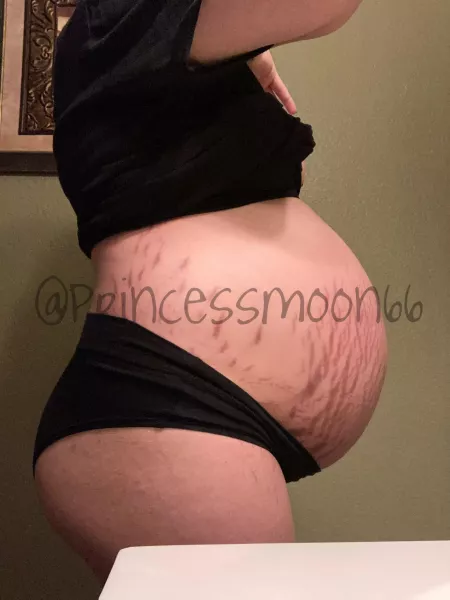 Dropbox and Premium 50% OFF 💕